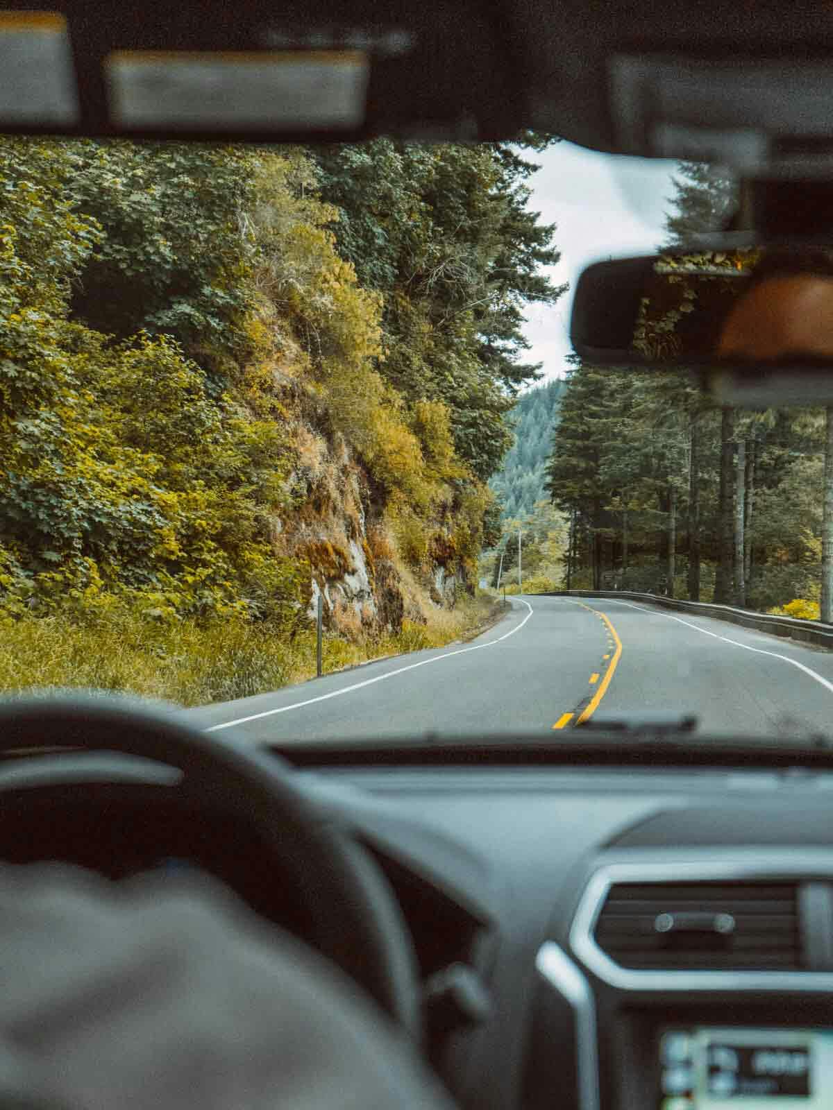 Driver's seat view on a forest road